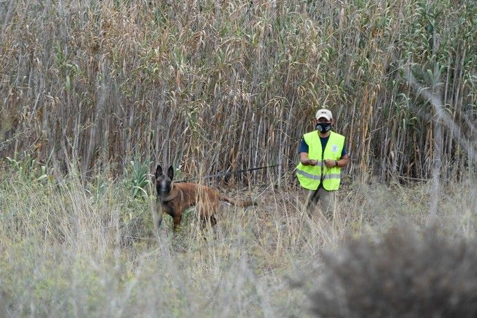 Continúa la búsqueda del taxista desaparecido en Teror