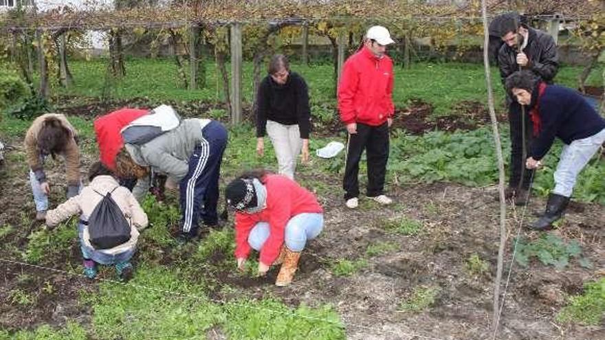 Participantes en O Grove de un curso de huerta ecológica.