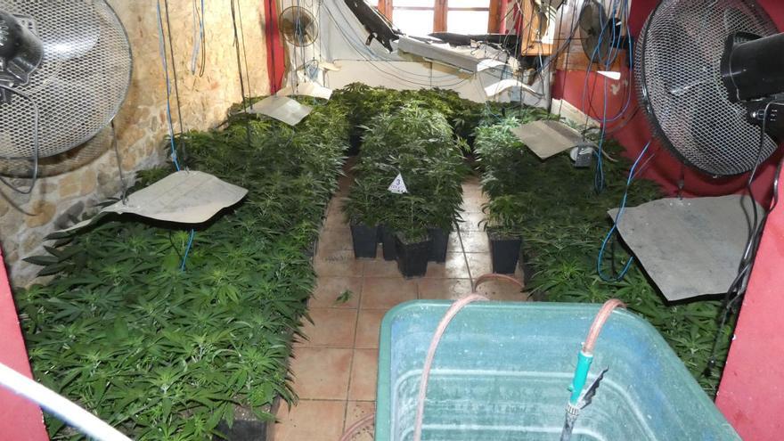 La plantació de marihuana que els Mossos d&#039;Esquadra han desmantellat en una masia d&#039;Avinyonet de Puigventós