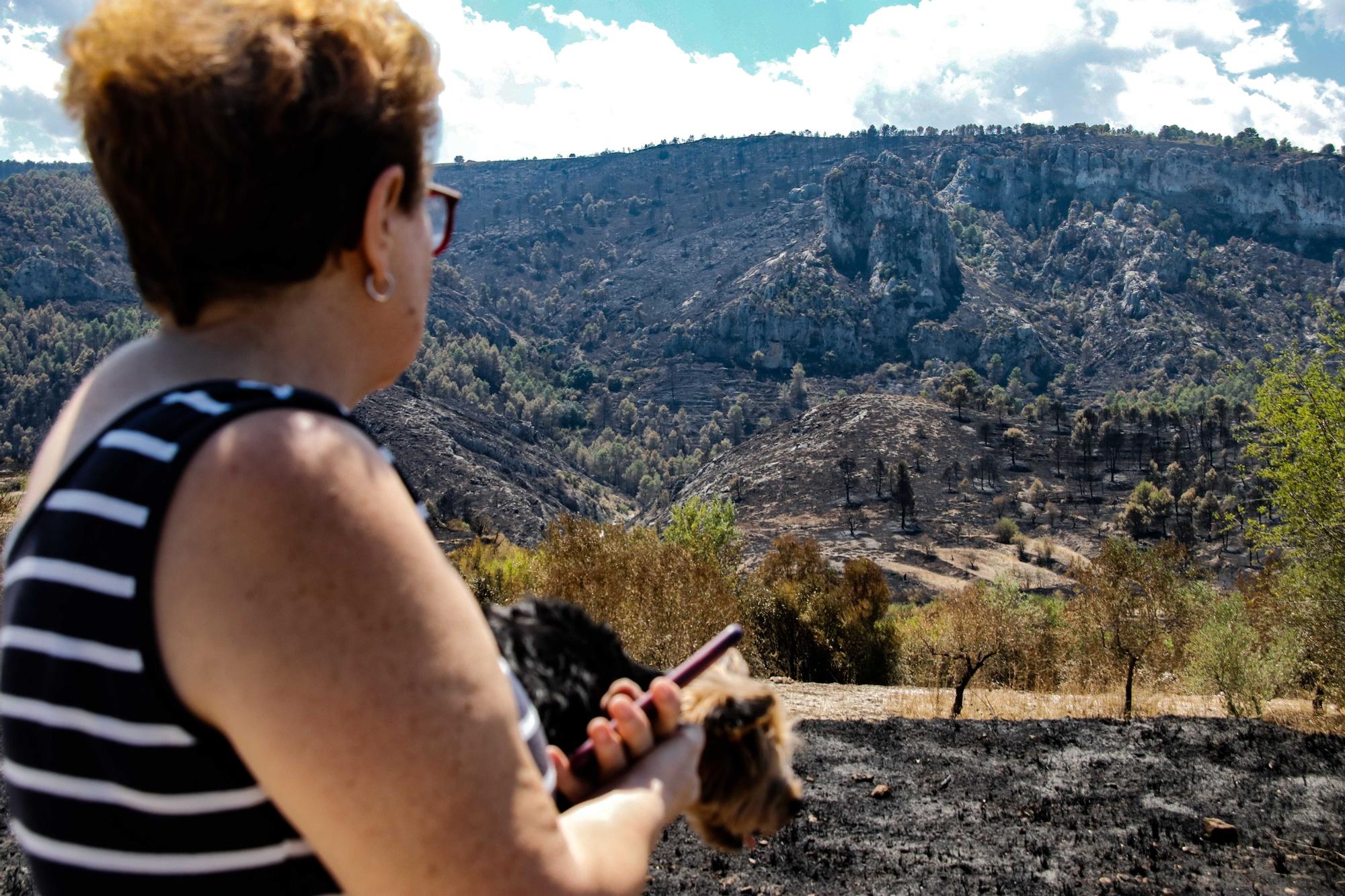 Los Bomberos prevén estabilizar el incendio de la Vall d'Ebo en las próximas horas