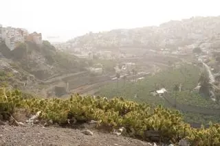 La calima baja en intensidad y dará paso a chubascos con tormentas