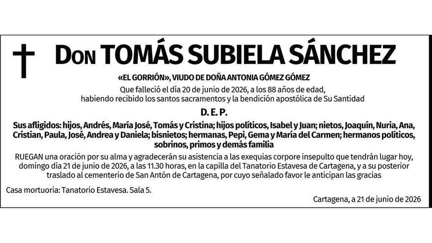 D. Tomás Subiela Sánchez