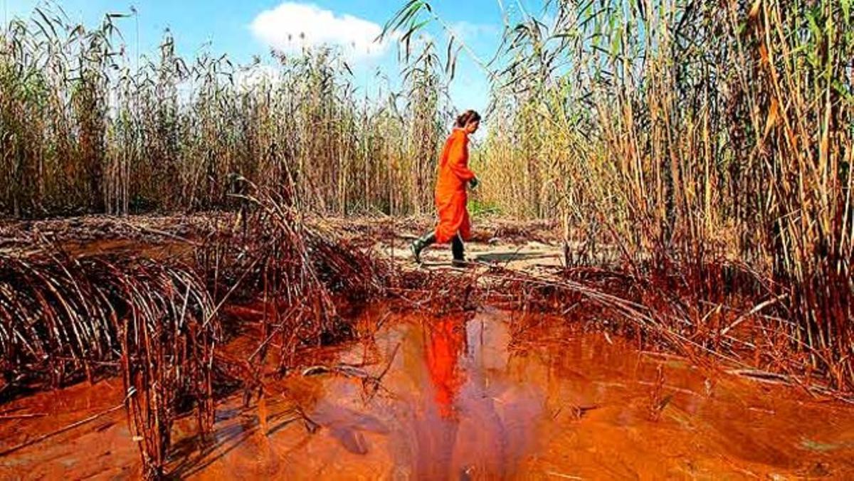 Una especialista de Greenpeace agafa mostres del cru que va arribar a la desembocadura del riu Mississipí, al golf de Mèxic (EUA).