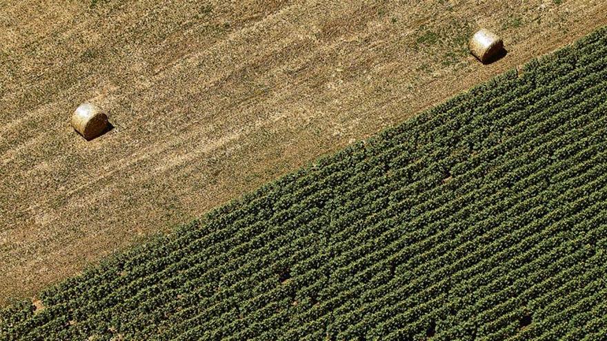 Un campo con malos humos