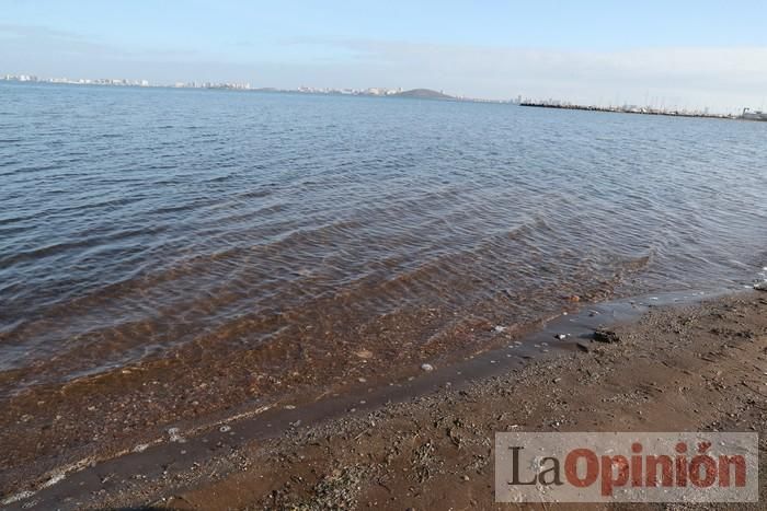 SOS Mar Menor retira dos toneladas de basura