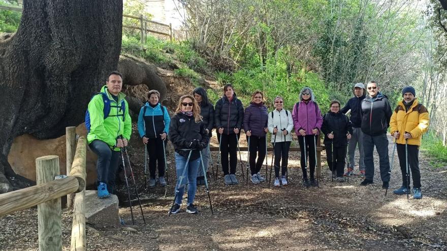 La Fira del Conill de Vilafant comença amb marxa nòrdica