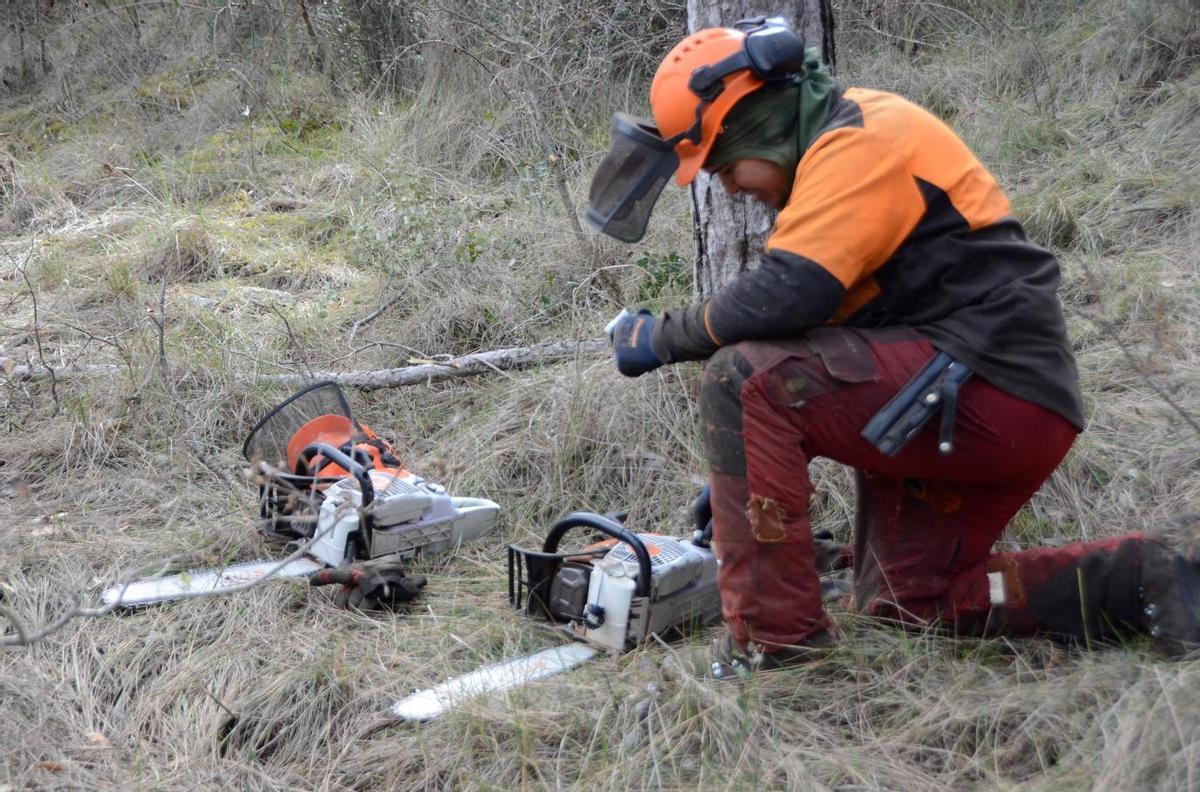 Un treballador fent tasques de gestió forestal
