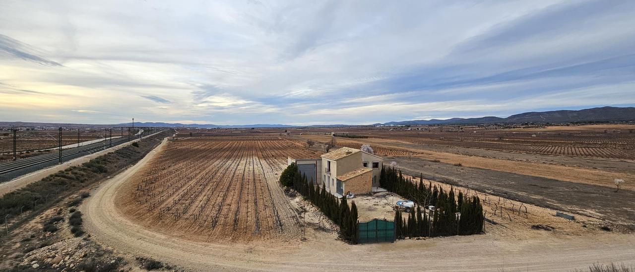 La gran llanura cercana a Requena en la que se preveía ubicar el proyecto de un nuevo aeropuerto privado complementario a Manises.