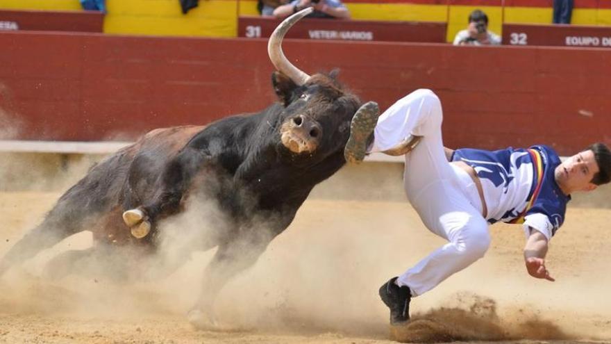 Los dos recortadores de Castellón se recuperan en planta