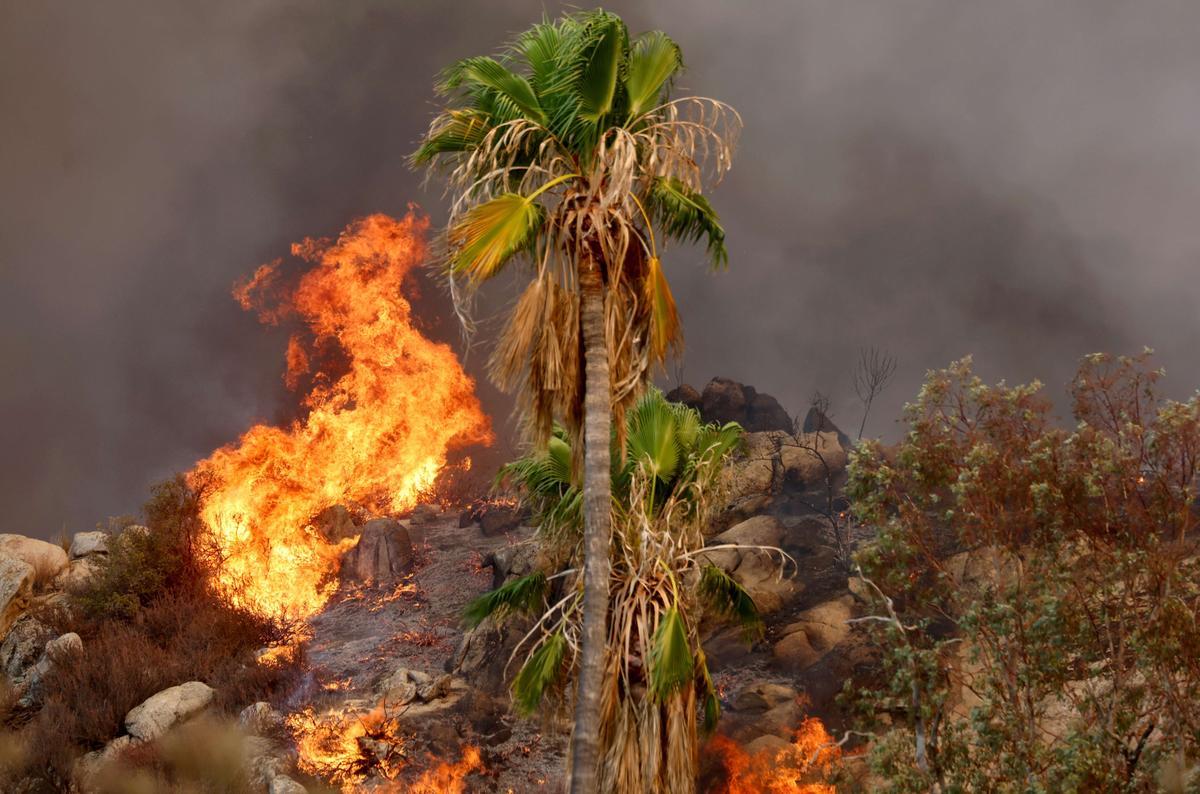 Lucha sin tregua contra el fuego en Hemet (California)