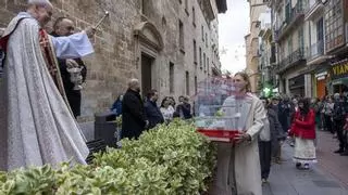Los perros protagonizan unas 'Beneïdes' de Sant Antoni de Palma a medio gas por la amenaza de lluvia