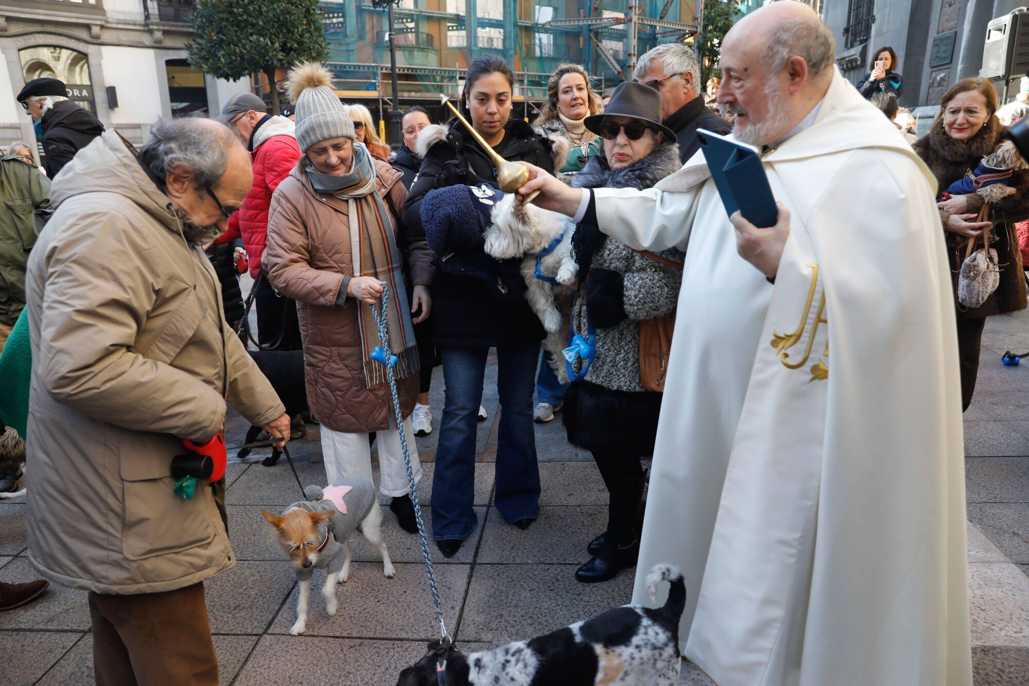 EN IMÁGENES: Bendición de mascotas por San Antón en la basílica de San Juan de Oviedo