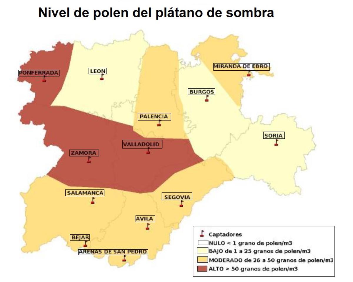 Mapa del nivel de polen de plátano de sombra, muy alto en Zamora, Valladolid y Ponferrada.  | JCYL