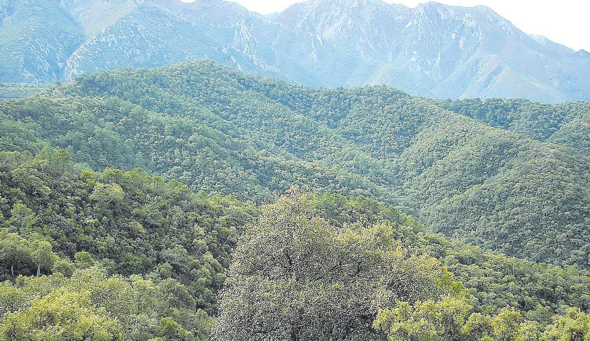 La Sierra de las Nieves
