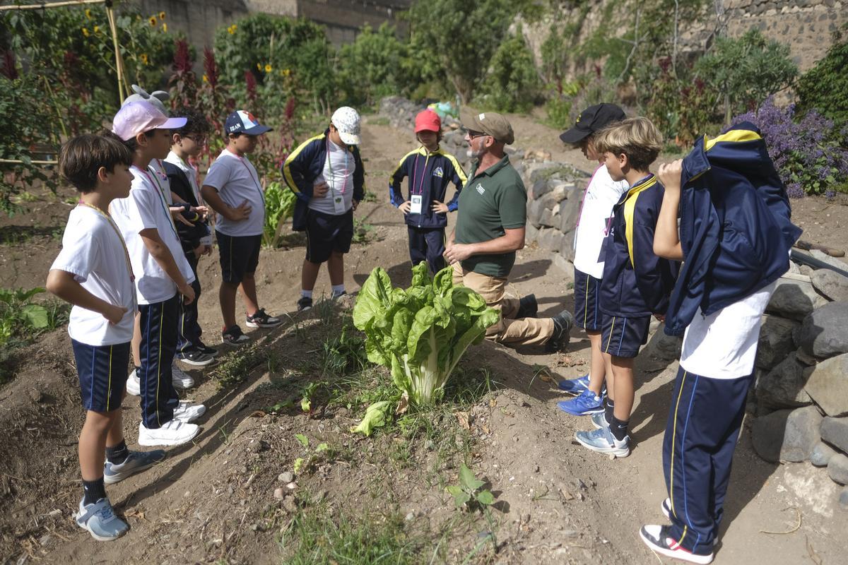 Alumnos del Fernando Guanarteme junto a David Ortega, experto en educación ambiental.