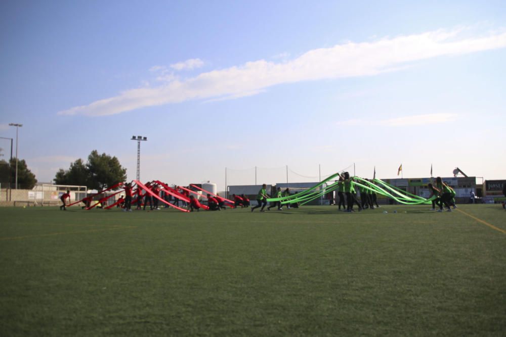 Más de 1.300 estudiantes de las comarcas de la Vega Baja y el Baix Vinalopó participan en la X edición de las Olimpiadas Clásicas.