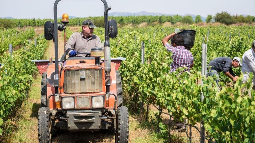 7 de cada 10 treballadors en règim especial agrari són estrangers, més del doble que la mitjana espanyola