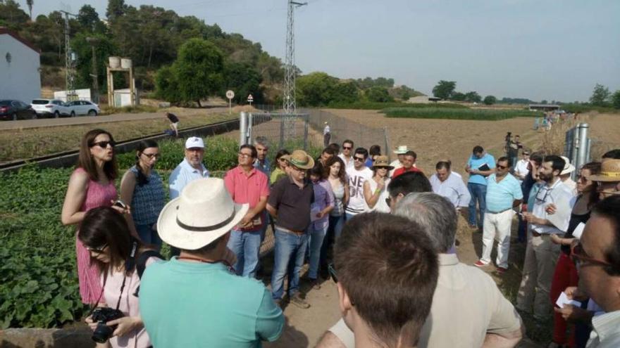 90 agricultores extremeños exploran el cultivo de la quinoa