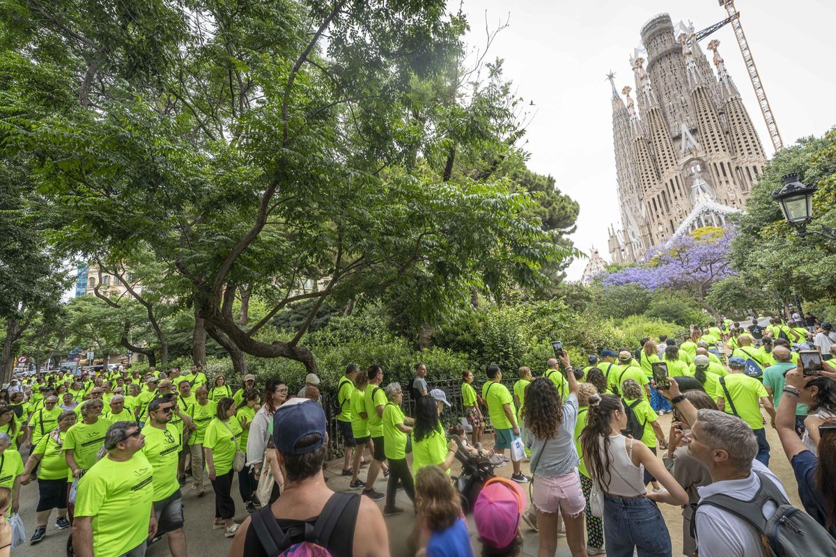 Unas 200 personas trasplantadas marchan en Barcelona en agradecimiento a los donantes de órganos