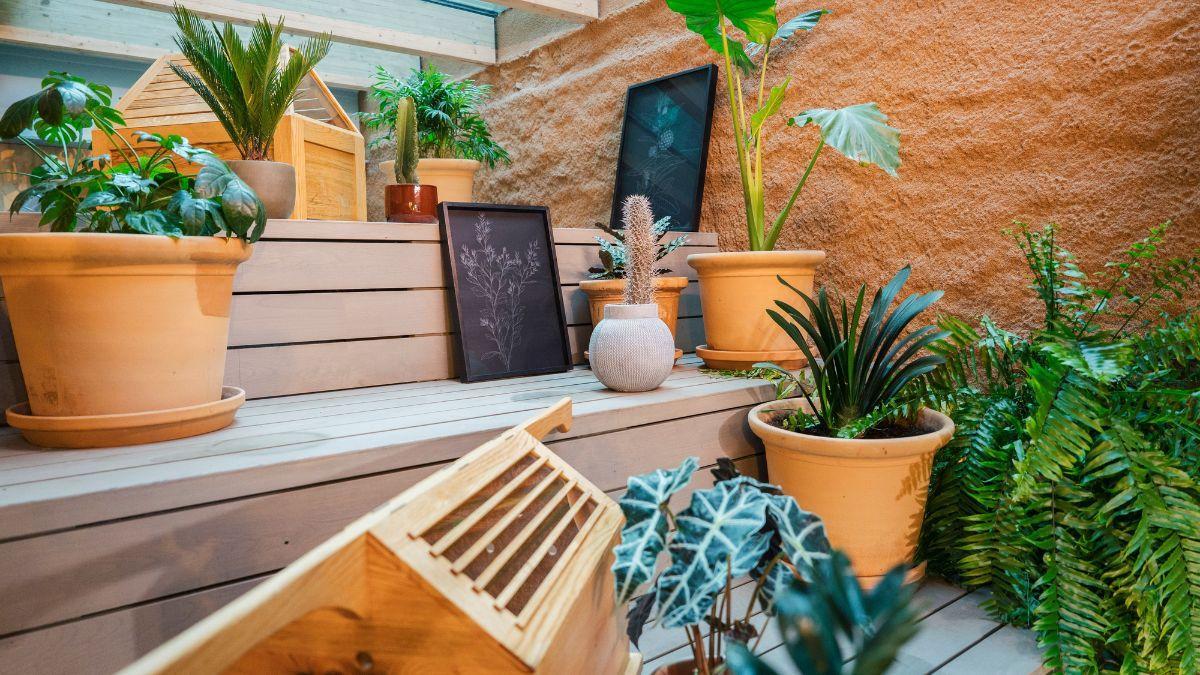 Más allá de ser una Guardería, el espacio cuenta con exposiciones y libros sobre botánica
