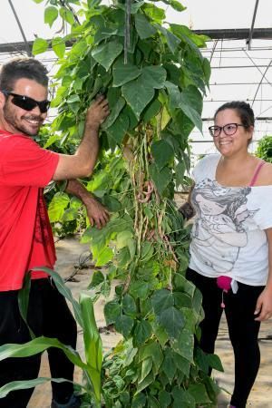 Dos jóvenes agricultores que cultivan, procesan y