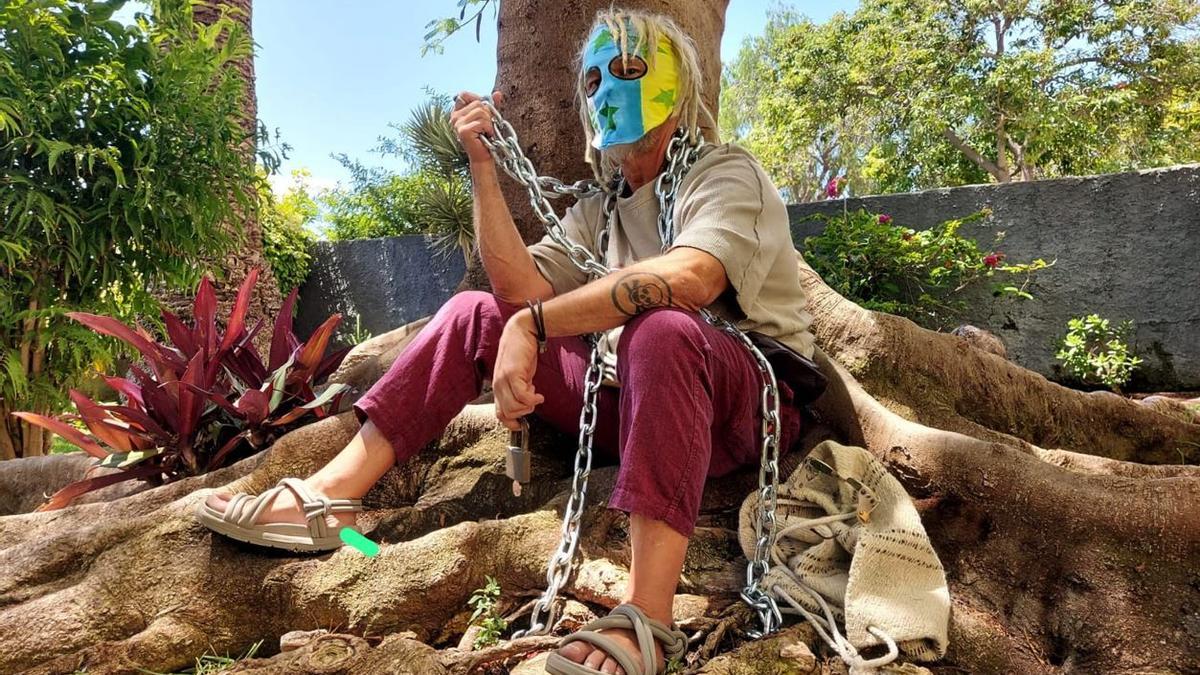 Nace 'El Guardián del flamboyán' que velará por el árbol amenazado de tala por estar enfermo, según Parques y Jardines.