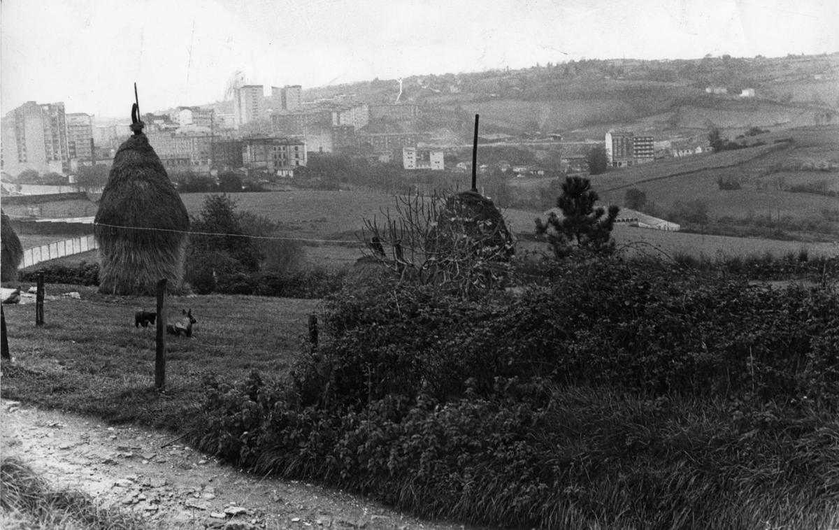 Aspecto general del Parque de Invierno, netamente rural, en noviembre de 1976