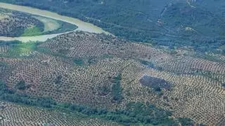 El Infoca logra extinguir un incendio forestal en Adamuz