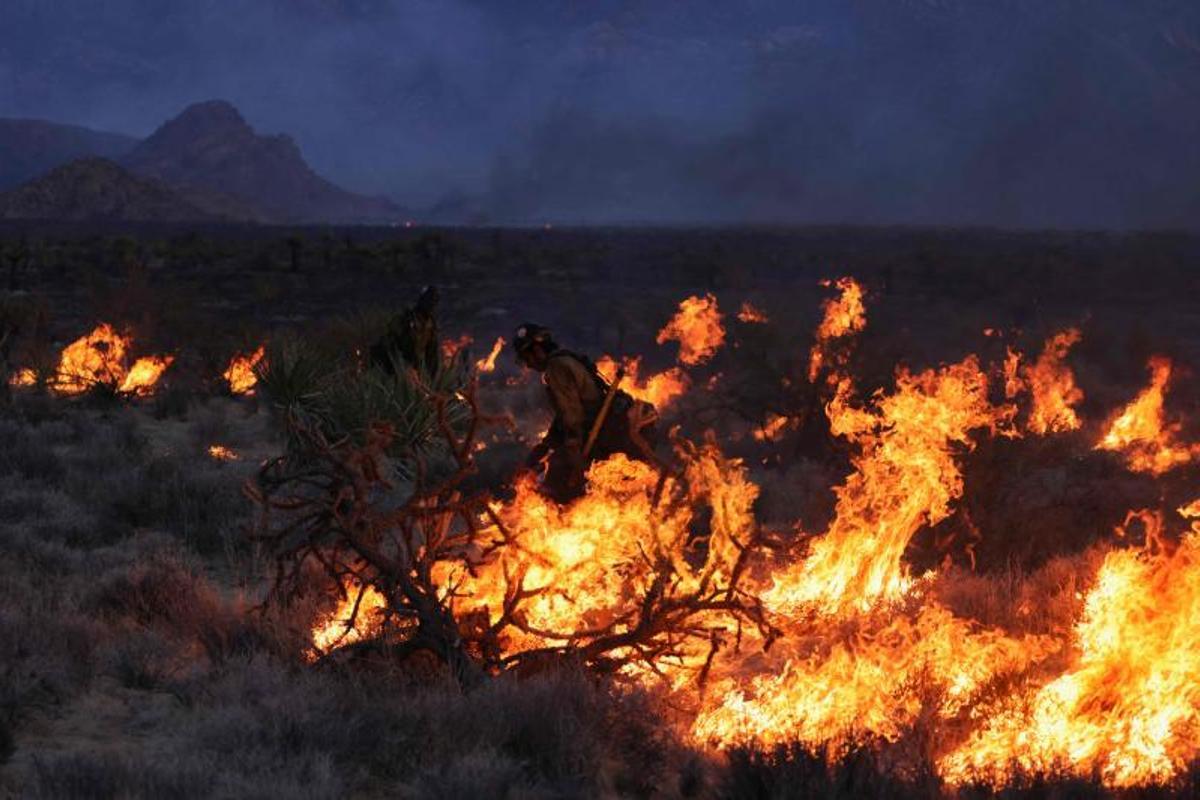 Arde la Reserva Nacional de Mojave entre California a Nevada