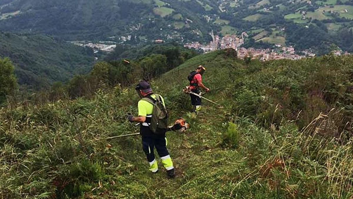 Una cuadrilla trabaja en el Monte Carrio, en Laviana.