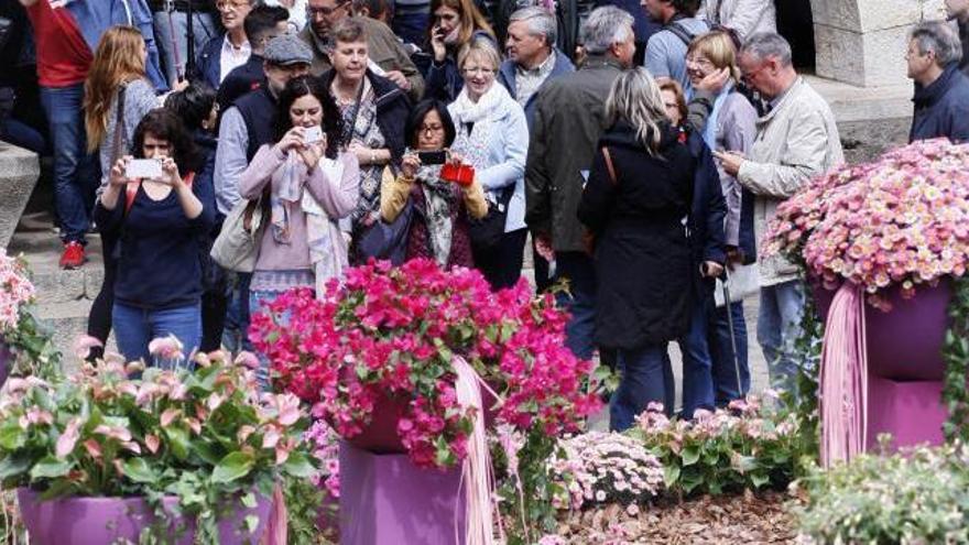 Un viver s&#039;ofereix per subministrar les flors i plantes de Temps de Flors