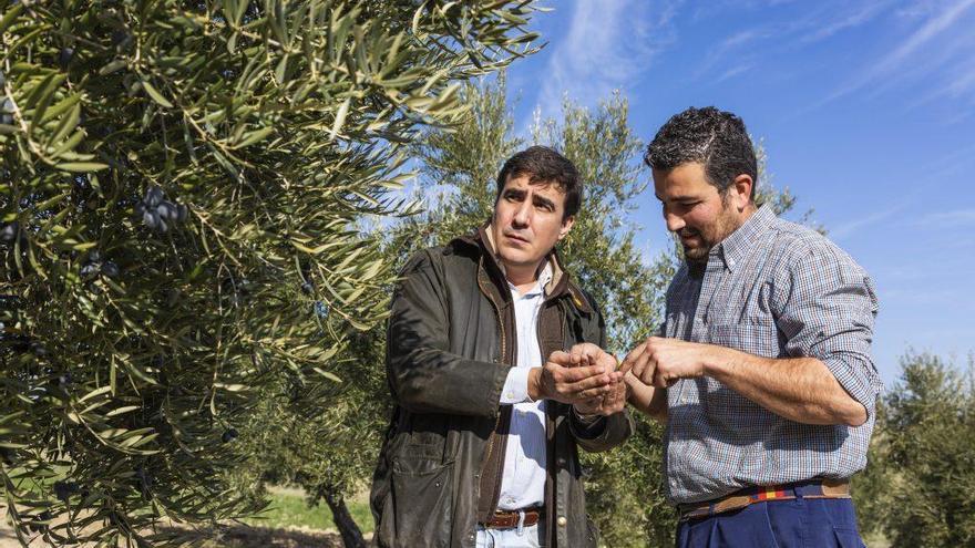 Un aceite del cordobés Manuel Coca Morán, distinguido como uno de los mejores virgen extra del mundo