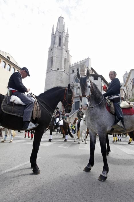 Cavalcada de Sant Antoni de Girona