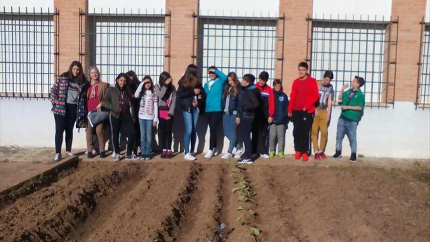 El IES Averroes trabaja sobre un huerto ecológico