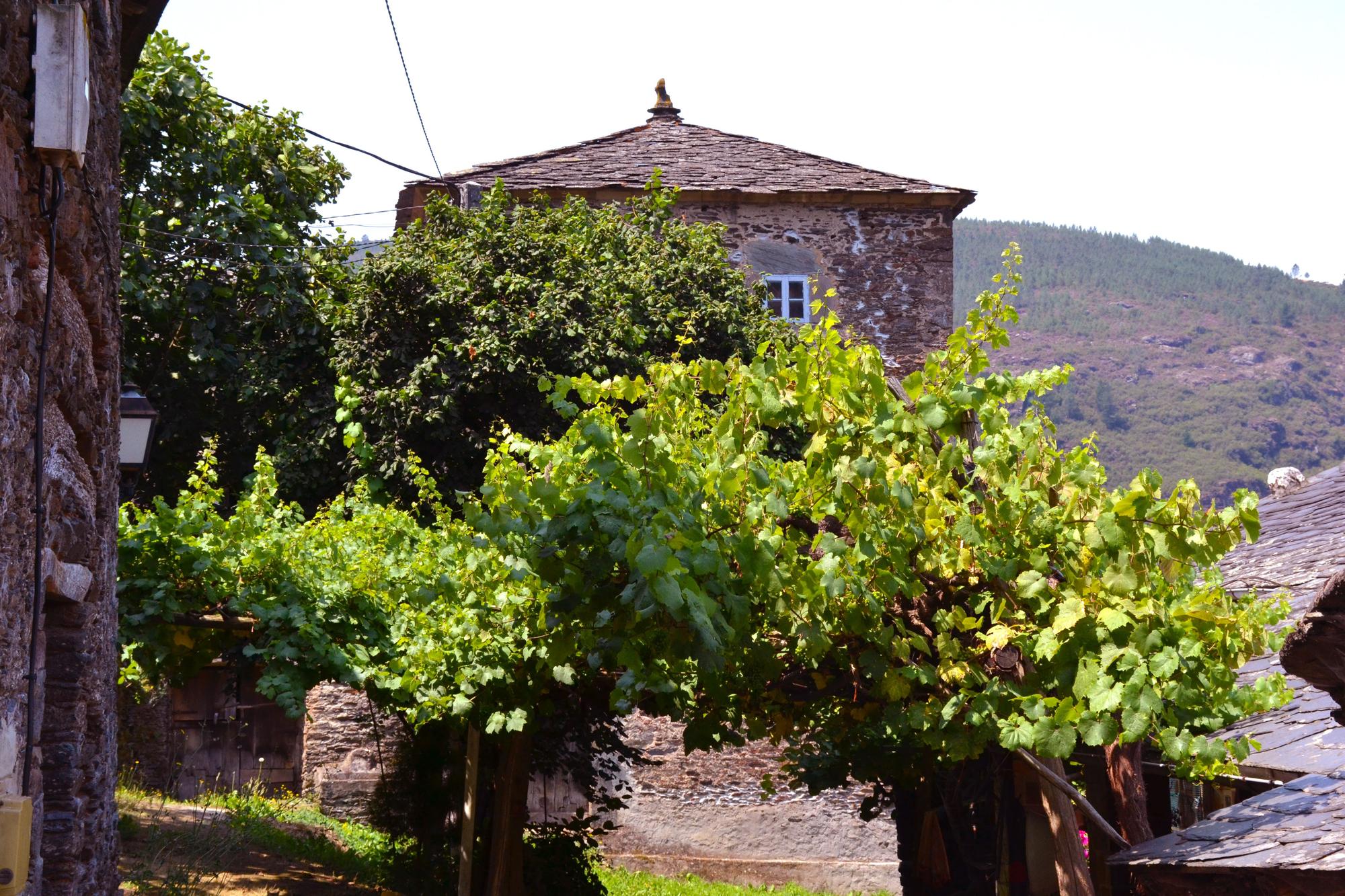 San Emiliano (Allande), un pueblo que se engancha al corazón