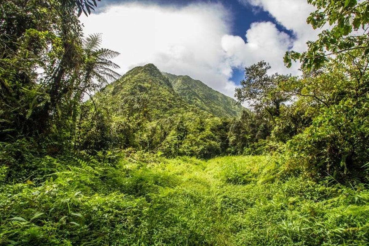 VOLCANES: Monte Pelée, Islas Martinicas