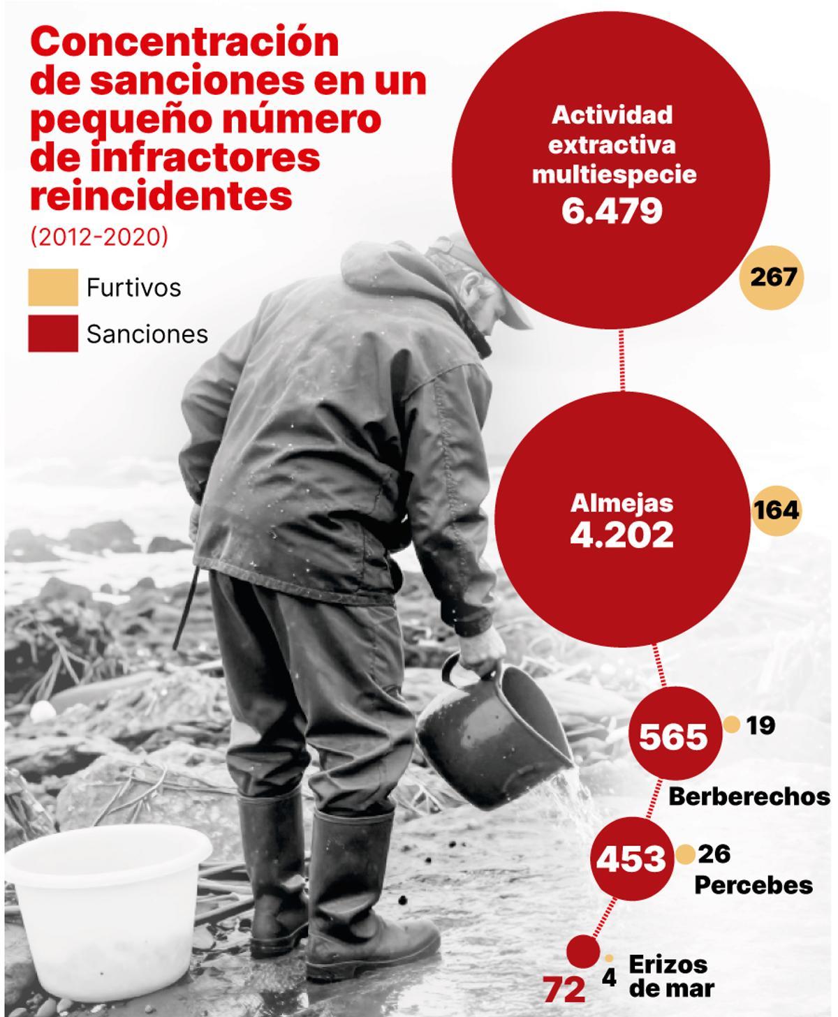 Concentración de sanciones a infractores reincidentes