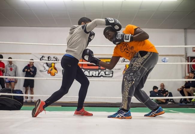 Deporte Base. Reportaje de boxeo al Jet Canarias