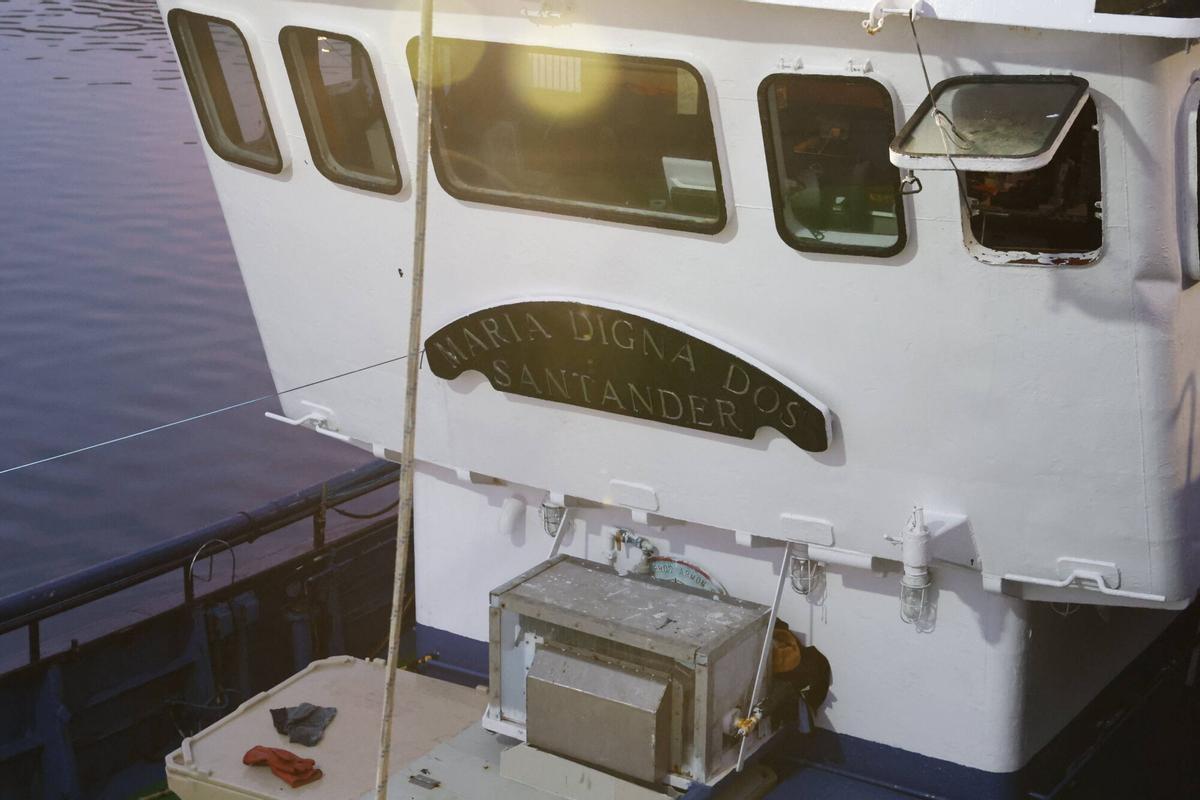 EN IMÁGENES: El primer bonito de la temporada ya está en Gijón: 2.217 kilos de "pescado del Cantábrico y de gran calidad"