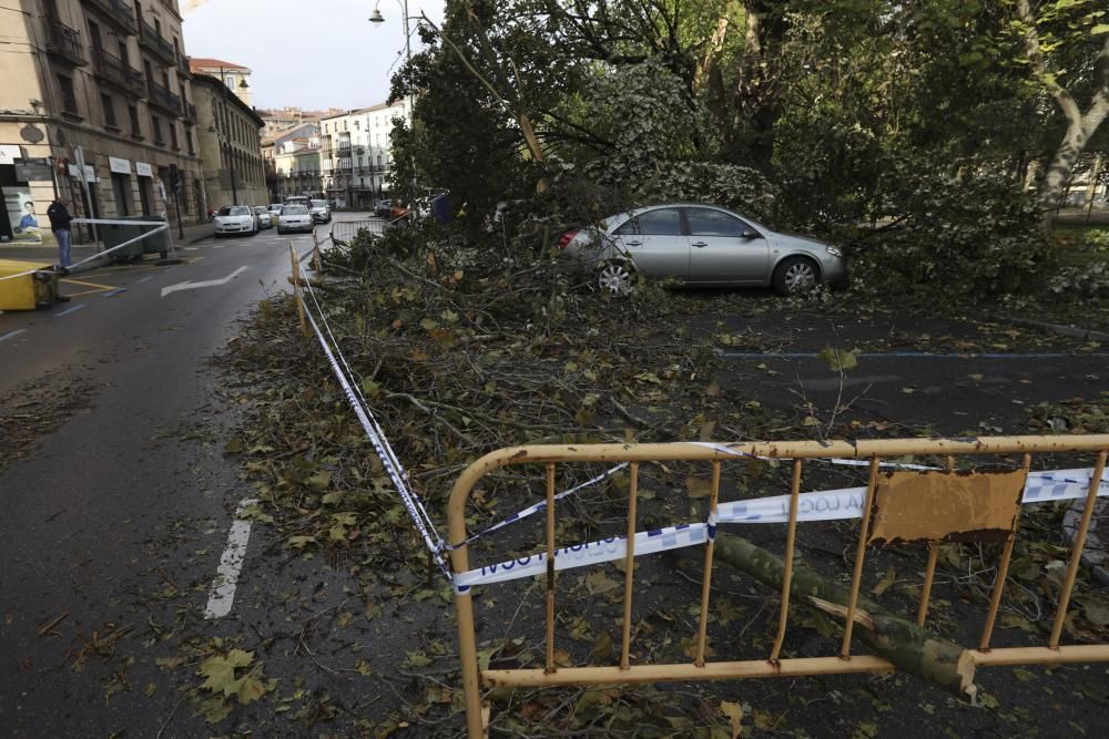 Daños del temporal en Avilés.