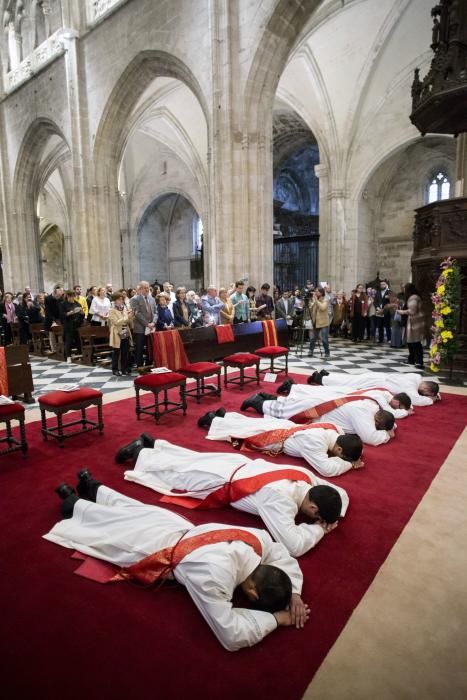 Ordenación de nuevos sacerdotes en la Catedral