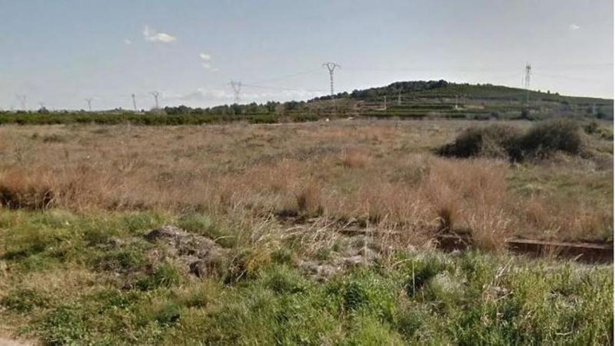 Terrenos de la partida de la Garrofera, en una imagen de archivo.