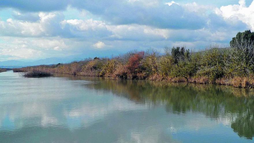 Parque natural de s&#039;Albufera.