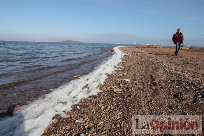 SOS Mar Menor retira dos toneladas de basura