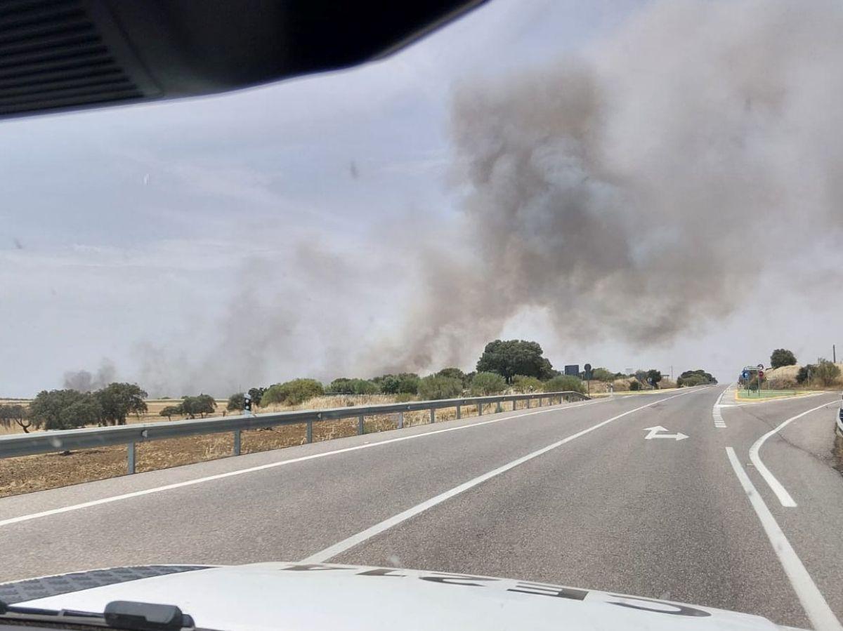 Columnas de humo del incendio de Fuente Obejuna.