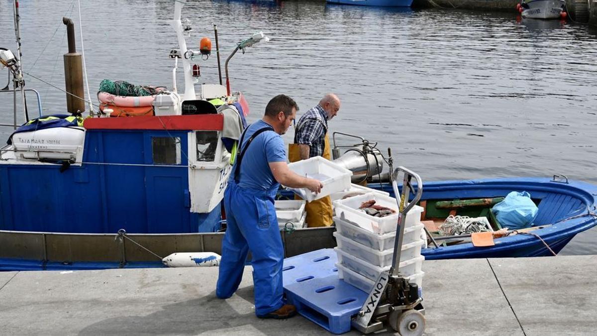 Pescadores descargando en el puerto de Portonovo.