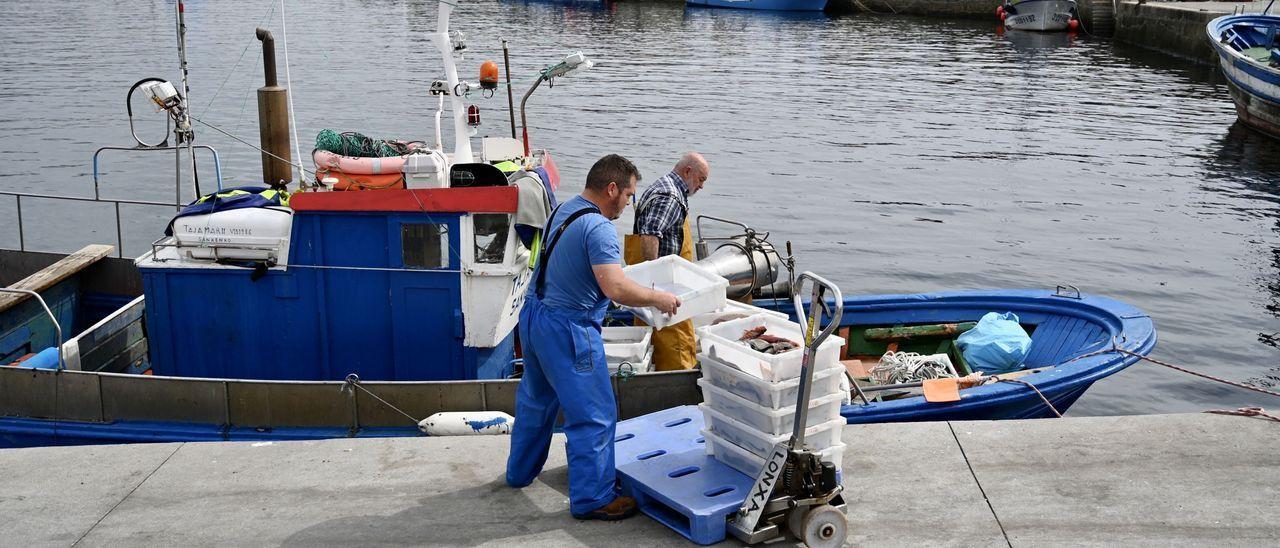 Pescadores descargando en el puerto de Portonovo.