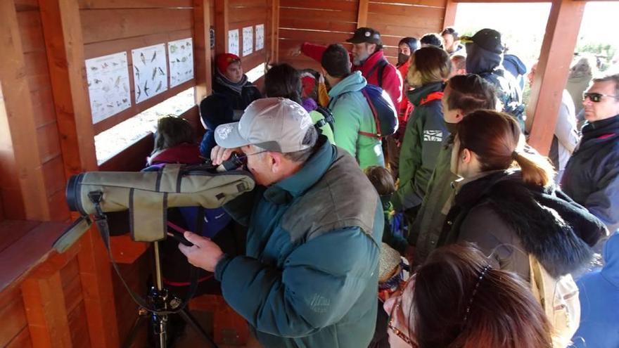 Familias y expertos observaron con telescopios distintos tipos de especies de la zona.