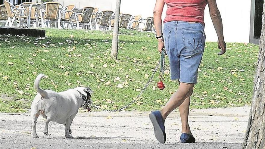 Los dueños de mascotas deberán llevar bolsas para deposiciones