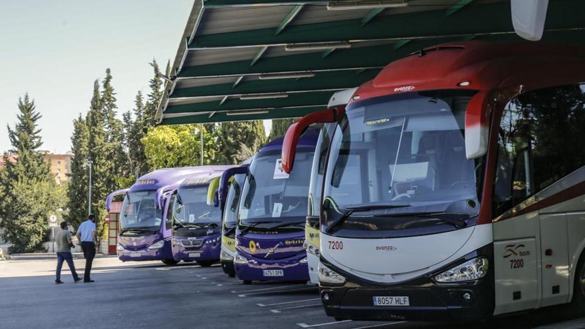 Autobuses estacionados en las dársenas de la estación de Cáceres.